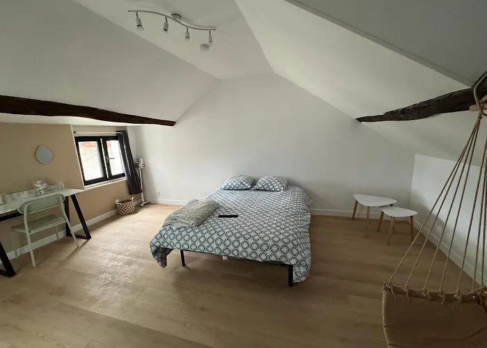 Appartement Rooftop Vue Cathedrale Hypercentre